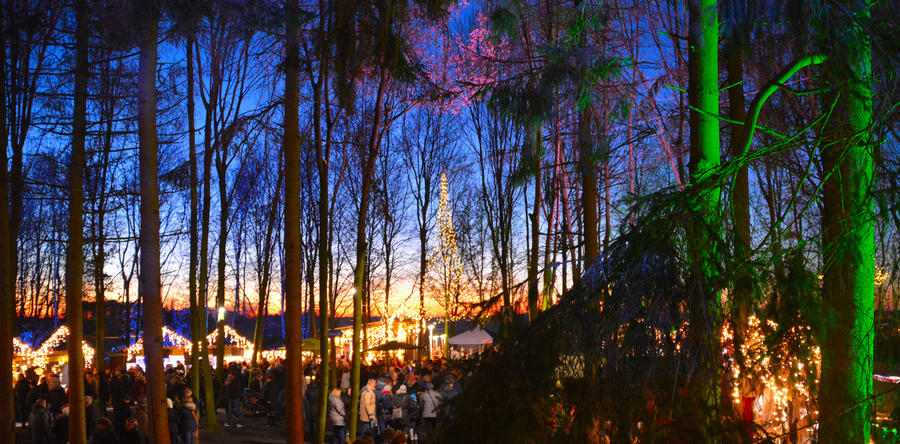 Möllensdorfer Wald-Weihnachtsmarkt & Roßlau