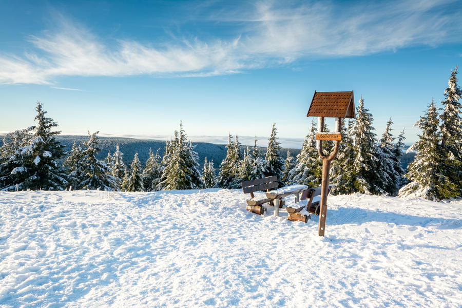 Weihnachten im Thüringer Wald